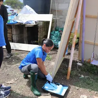 Pintura y detallado